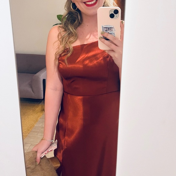 Birdy grey KENSIE DRESS in Spice - Picture 4 of 6